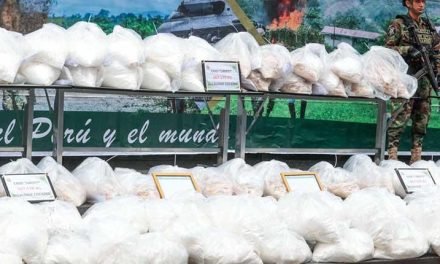 INCAUTAN EN PERÚ MÁS DE 800 KILOS DE DROGA QUE IBA A SER TRASLADADA A BOLIVIA