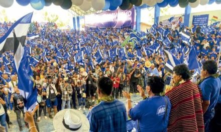 TSE DICTA “PRIMERA AMONESTACIÓN GRAVE” CONTRA EL MAS ‘EVISTA’