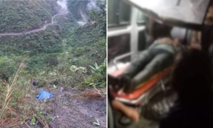 CUATRO FALLECIDOS EN EMBARRANCAMIENTO DE UN MINIBÚS