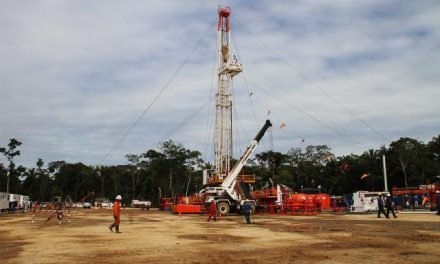 ANUNCIAN QUE YPFB DARÁ A CONOCER UN “GRAN” DESCUBRIMIENTO
