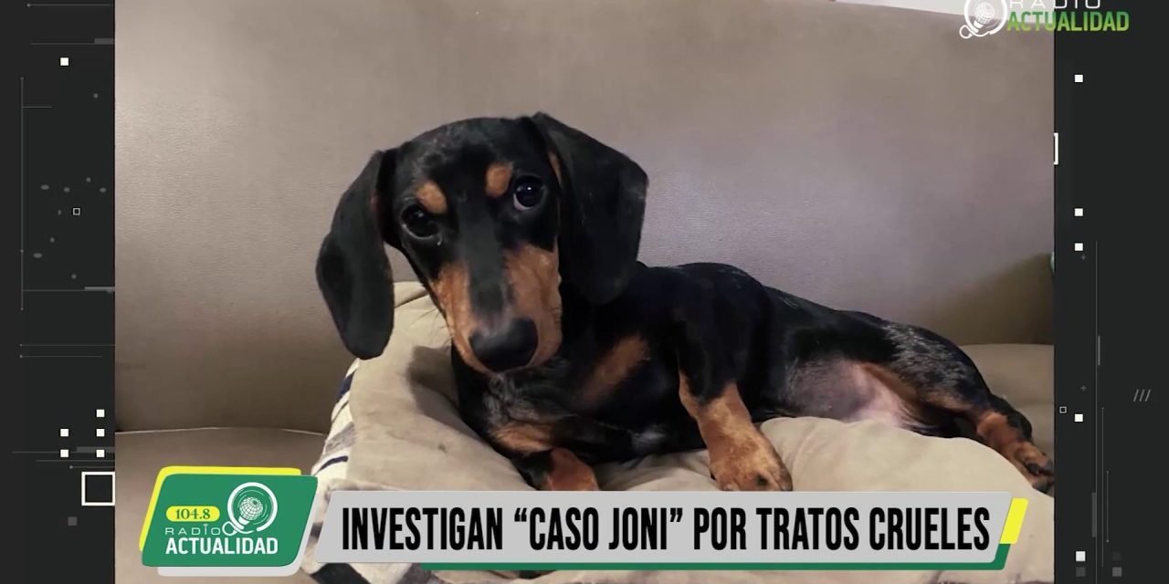 INVESTIGAN “CASO JONI” POR TRATOS CRUELES
