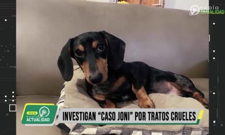 INVESTIGAN “CASO JONI” POR TRATOS CRUELES