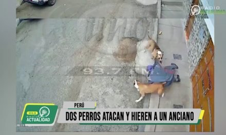 DOS PERROS ATACAN Y HIEREN A UN ANCIANO