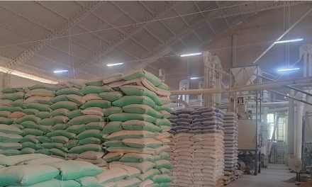 ENCUENTRAN 32 MIL TONELADAS DE ARROZ ACOPIADAS EN INGENIOS PRIVADOS