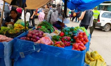 GOBIERNO DETECTA “CONTRABANDO HORMIGA” DE VERDURAS HACIA ARGENTINA