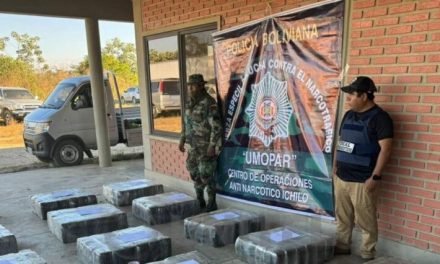 HALLAN MEDIA TONELADA DE MARIHUANA EN CAMIÓN CON PLÁTANOS