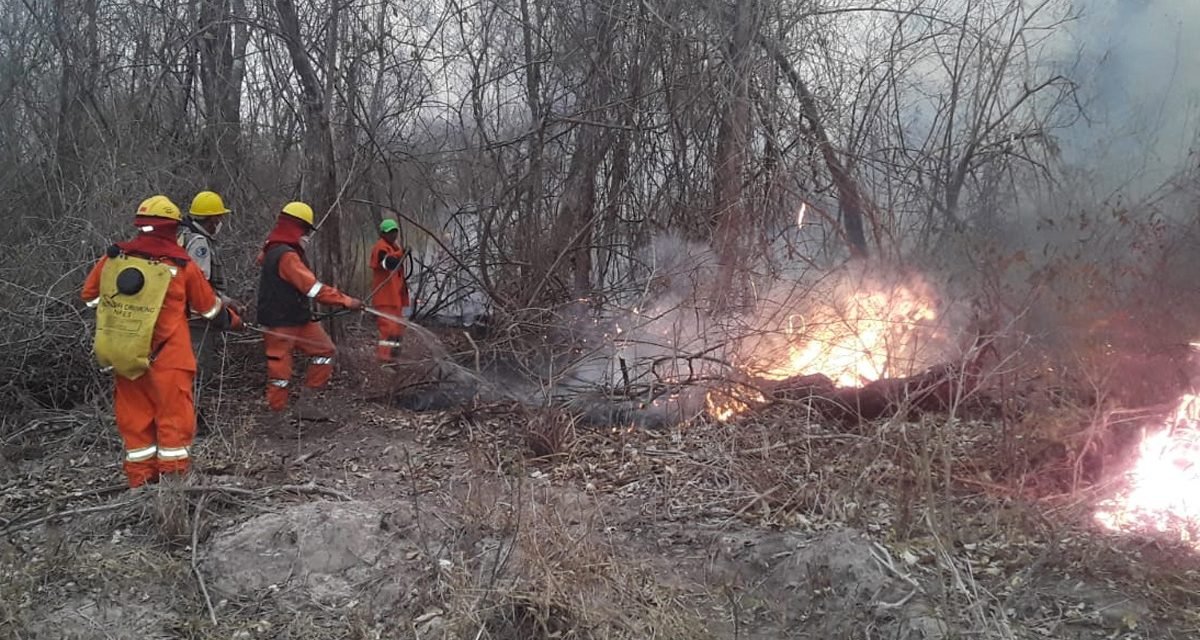 GOBIERNO REGISTRA MÁS DE DOS MIL FOCOS DE CALOR EN EL PAÍS