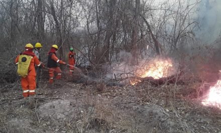 GOBIERNO REGISTRA MÁS DE DOS MIL FOCOS DE CALOR EN EL PAÍS