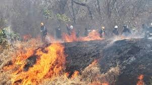 EMITEN ALERTA NARANJA POR RIESGO DE INCENDIOS FORESTALES EN 74 MUNICIPIOS