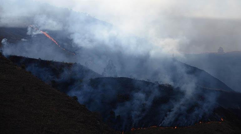 ÚLTIMO INCENDIO EN EL TUNARI CONSUMIÓ CINCO HECTÁREAS