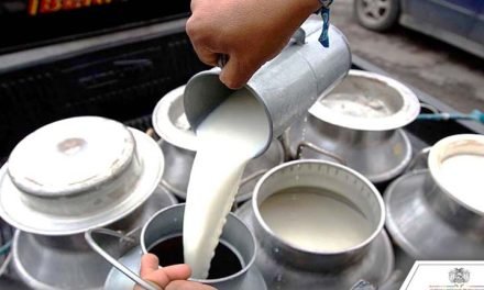 GOBIERNO PREVÉ EXPORTAR LECHE FLUIDA Y SUS DERIVADOS A CHILE