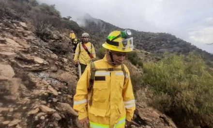 INCENDIO FORESTAL ARRASÓ CON 300 HECTÁREAS EN UNA SERRANÍA DE TARIJA