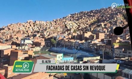 EL ALTO Y SUS FACHADAS SIN REVOQUE