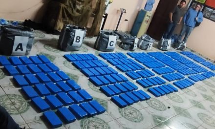INTERCEPTAN  CAMIONETA CON 227 KILOS DE DROGA QUE SE DIRIGÍA A PISTA CLANDESTINA