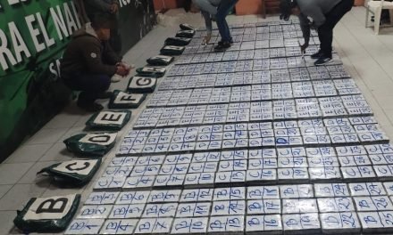 DOS PERSONAS INVESTIGADAS POR EL TRÁFICO DE MÁS 400 KILOS DE COCAÍNA