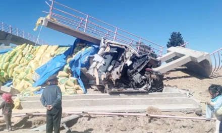 CAMIÓN IMPACTA CONTRA PASARELA Y UNA PERSONA PIERDE LA VIDA