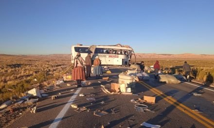 ACCIDENTE EN LA CARRETERA PATACAMAYA-TAMBO QUEMADO DEJA 10 FALLECIDOS Y 15 HERIDOS