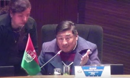 DENUNCIAN QUE UN SENADOR FUE A SESIONAR EN ESTADO DE EBRIEDAD