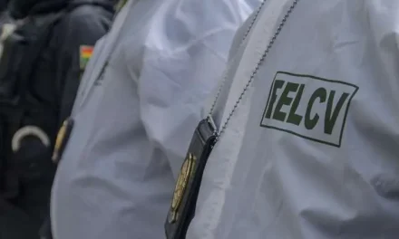 CONCEJALA DETENIDA POR SUPUESTA VIOLENCIA PSICOLÓGICA HACIA SU EXESPOSO