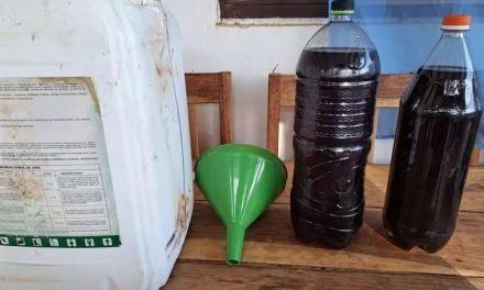 EXIGEN EXPLICACIÓN SOBRE LA COLORACIÓN DE LA GASOLINA EN CONCEPCIÓN