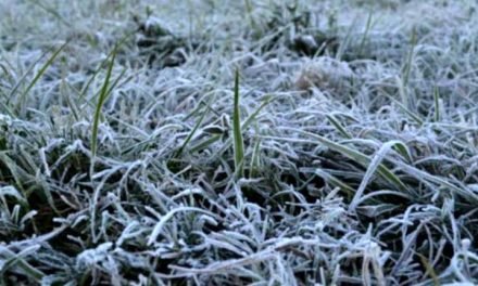 LA ‘HELADA BLANCA’ AFECTA A 137.000 HECTÁREAS DE CULTIVOS EN SEIS DEPARTAMENTOS