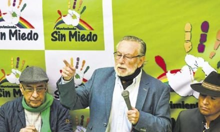 EL MSM RESURGE, PERO SIN PERSONERÍA JURÍDICA