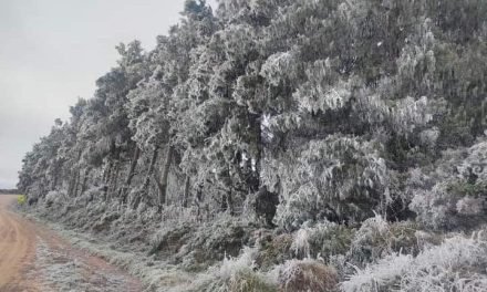 NEVADAS EN LOS VALLES CRUCEÑOS LA  TEMPERATURA MÍNIMA FUE DE 5,5 GRADOS BAJO CERO