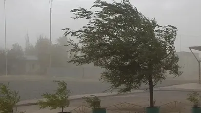 SENAMHI EMITE ALERTA NARANJA POR VIENTOS FUERTES EN CINCO DEPARTAMENTOS