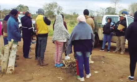 ADOLESCENTE MATABA GATOS Y CORTABA A SUS AMIGOS ANTES DE ASESINAR A UNA NIÑA