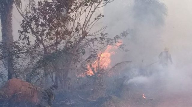GOBIERNO INFORMA QUE FOCOS DE CALOR EN EL PAÍS REDUJERON