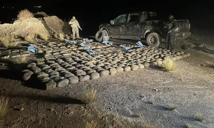 TRAFICANTES ESCAPAN DE CONTROL POLICIAL Y ABANDONAN CAMIONETA CON 392 KILOS DE MARIHUANA