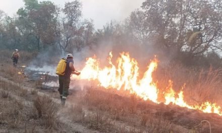 REGISTRAN NUEVO RÉCORD DE FOCOS DE CALOR EN EL PAÍS
