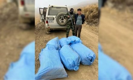 INCAUTARON MÁS DE 126 KILOS DE MARIHUANA EN QUILLACOLLO