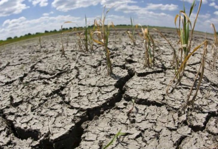SEQUIA AZOTA A POBLADORES DE MONTE VERDE Y LOS HACE DEJAR SUS HOGARES