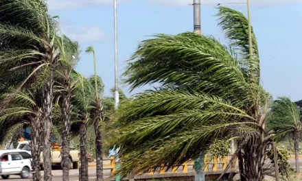GOBERNACIÓN CRUCEÑA EMITE ALERTA ROJA POR FUERTES VIENTOS