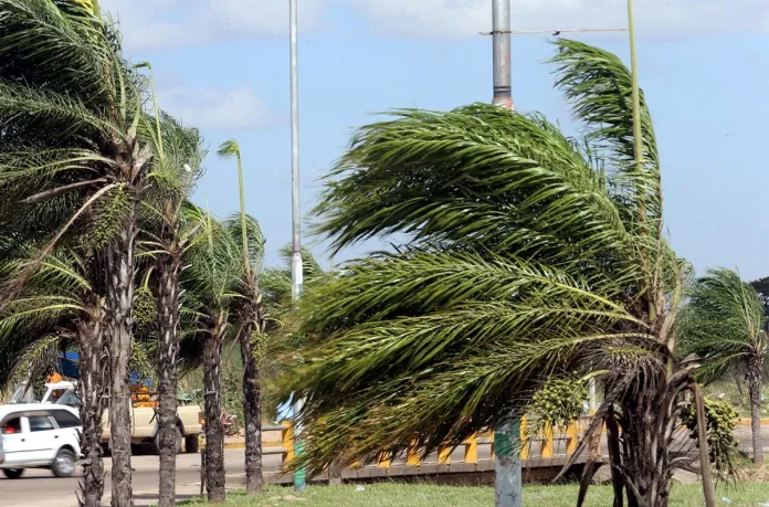 GOBERNACIÓN CRUCEÑA EMITE ALERTA ROJA POR FUERTES VIENTOS