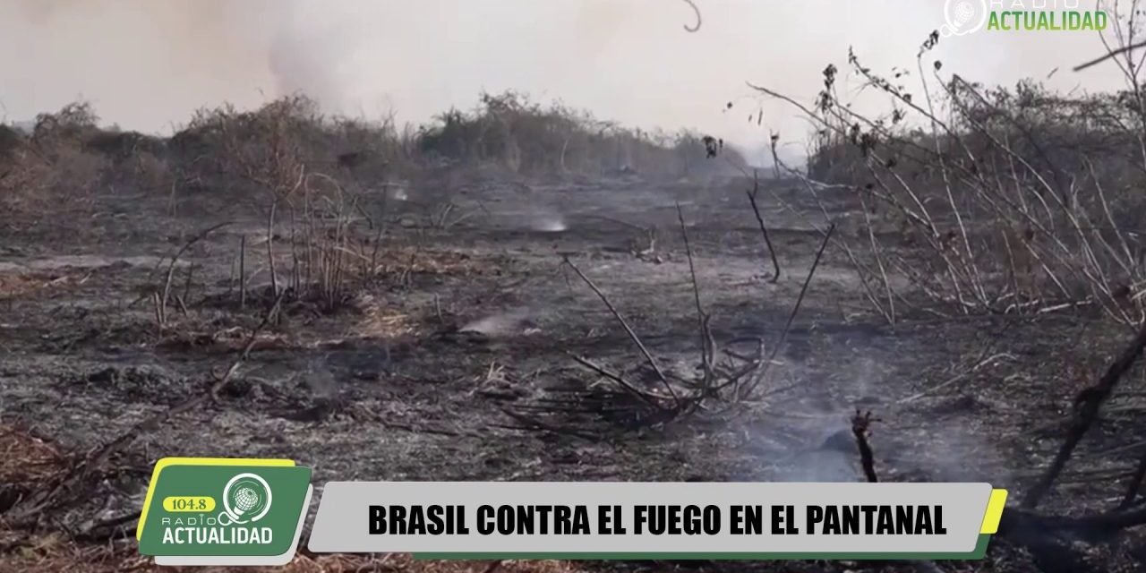 BRASIL CONTRA EL FUEGO EN EL PANTANAL