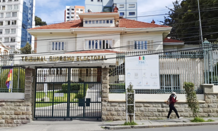 TSE AMPLÍA EL PLAZO PARA QUE LAS ORGANIZACIONES POLÍTICAS RENUEVEN SUS DIRECTIVAS