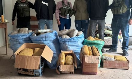 APREHENDEN A TRES PERSONAS CON 83 KILOS DE MARIHUANA