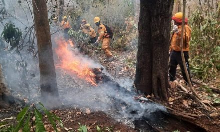 ANALIZAN DECLARAR DESASTRE NACIONAL POR INCENDIOS