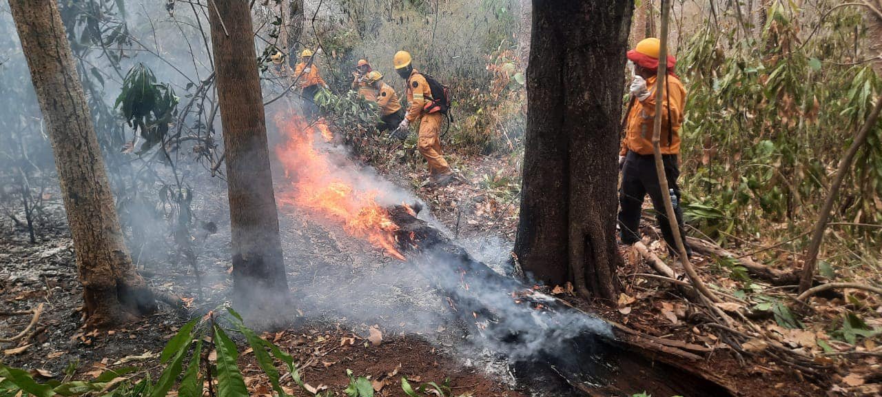 ANALIZAN DECLARAR DESASTRE NACIONAL POR INCENDIOS