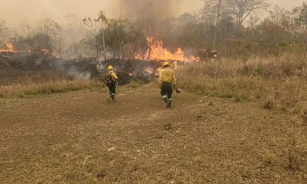 ARCE ANUNCIA AYUDA DE BRASIL Y CHILE CONTRA  INCENDIOS