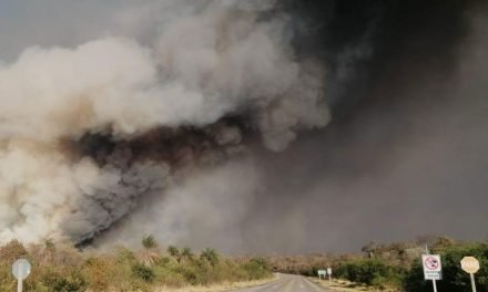 CAO DICE QUE EL SENADO MANTIENE NORMA QUE GENERA INCENDIOS