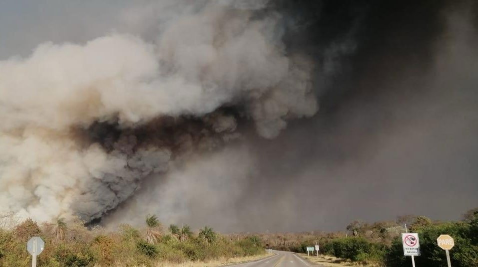 CAO DICE QUE EL SENADO MANTIENE NORMA QUE GENERA INCENDIOS