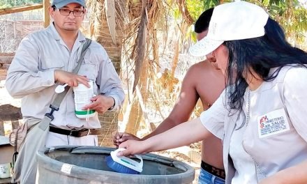 MUERE UN NIÑO DE 4 AÑOS A POR DENGUE EN COCHABAMBA