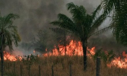 BENI SE DECLARA EN DESASTRE POR SEQUÍA E INCENDIOS FORESTALES