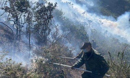 MÁS DE 1.300 INCENDIOS FORESTALES SE REGISTRARON EN UN MES EN ECUADOR