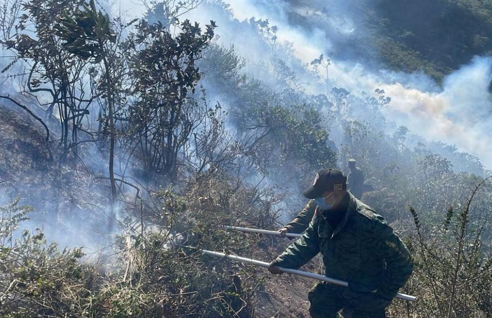 MÁS DE 1.300 INCENDIOS FORESTALES SE REGISTRARON EN UN MES EN ECUADOR