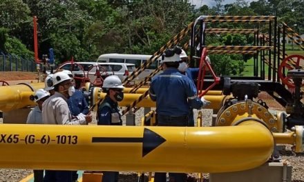 YPFB DICE QUE DEJAR DE EXPORTAR GAS A ARGENTINA NO ES PROBLEMA, PORQUE SE TIENE EL MERCADO DE BRASIL