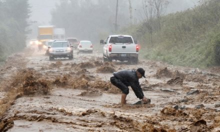 REPORTA 44 FALLECIDOS POR HURACÁN HELENE AL ESTE DE ESTADOS UNIDOS